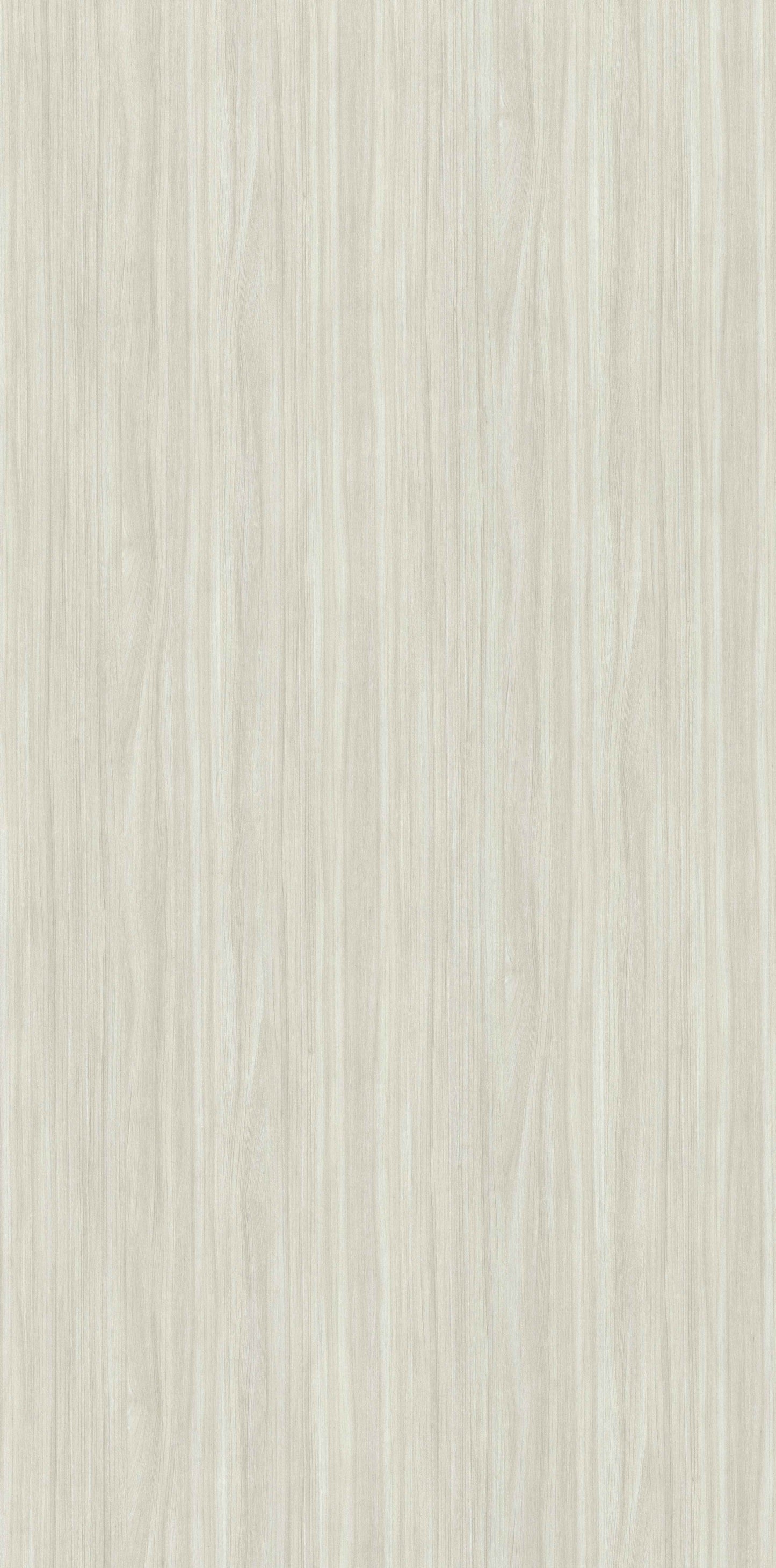 Silberne Ulme-G