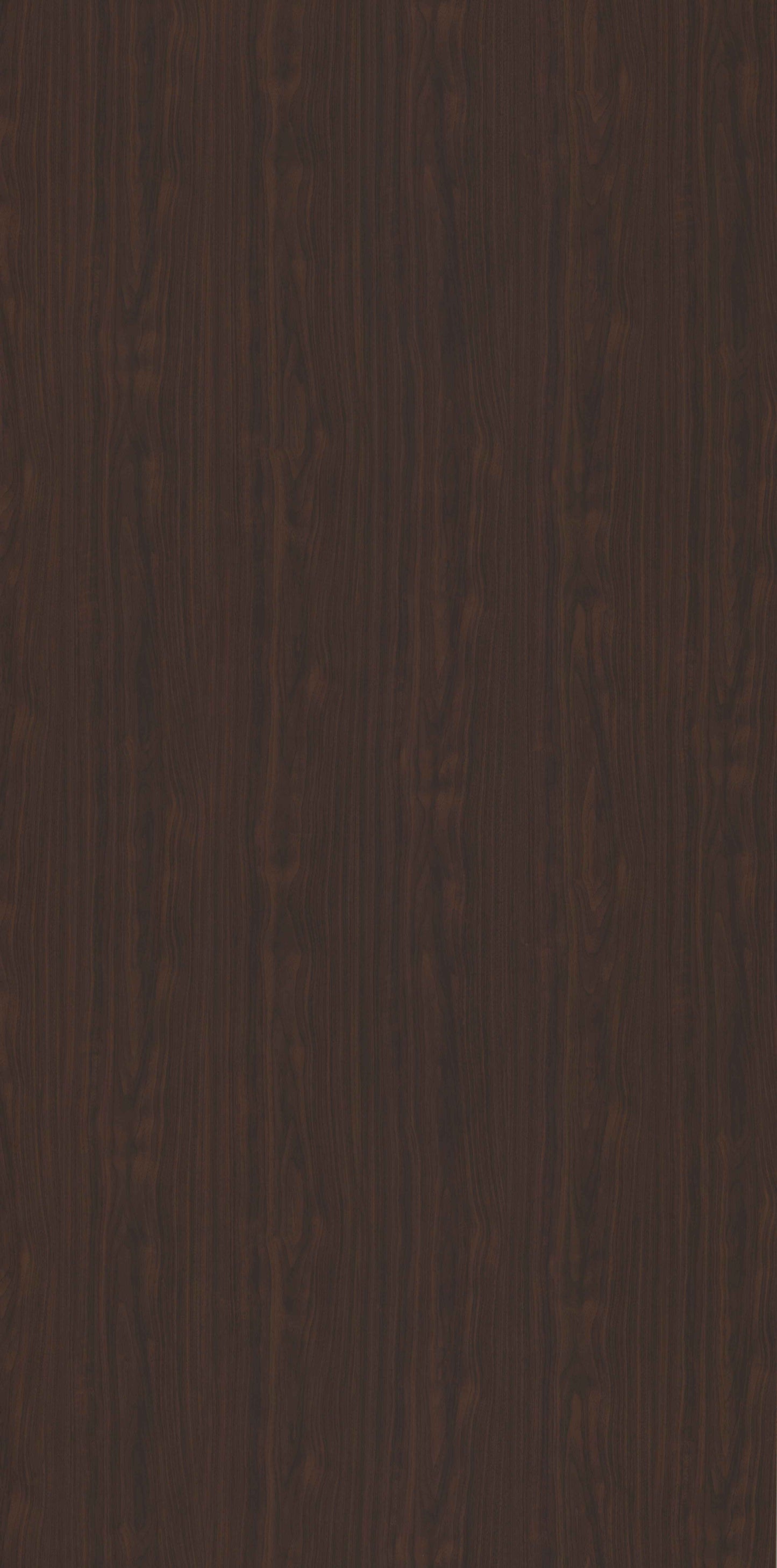 American Walnut
