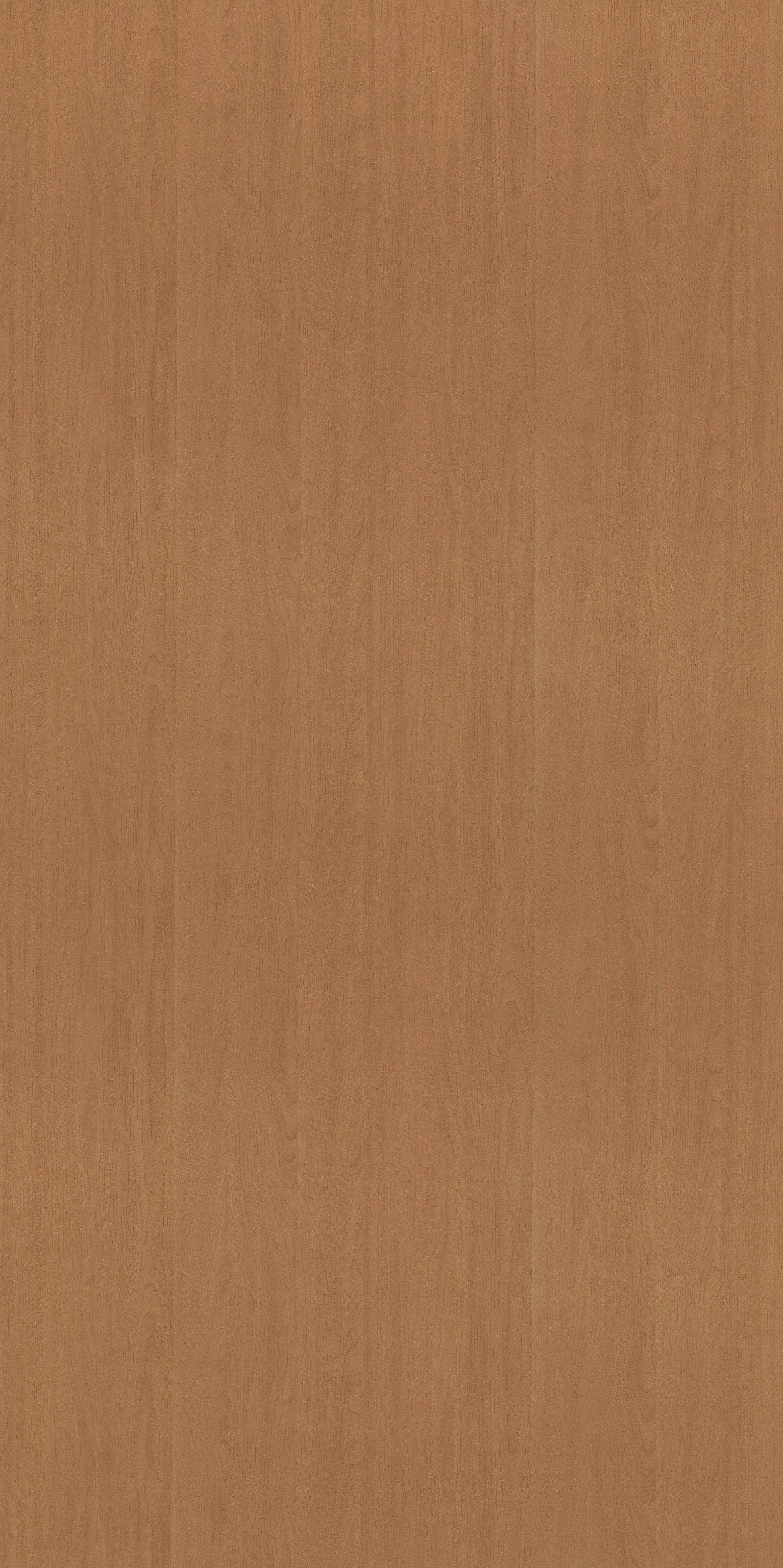 Between Maple and Chestnut 限定1000部 8123_RED_MAPLE_05ce2be9-21bd-