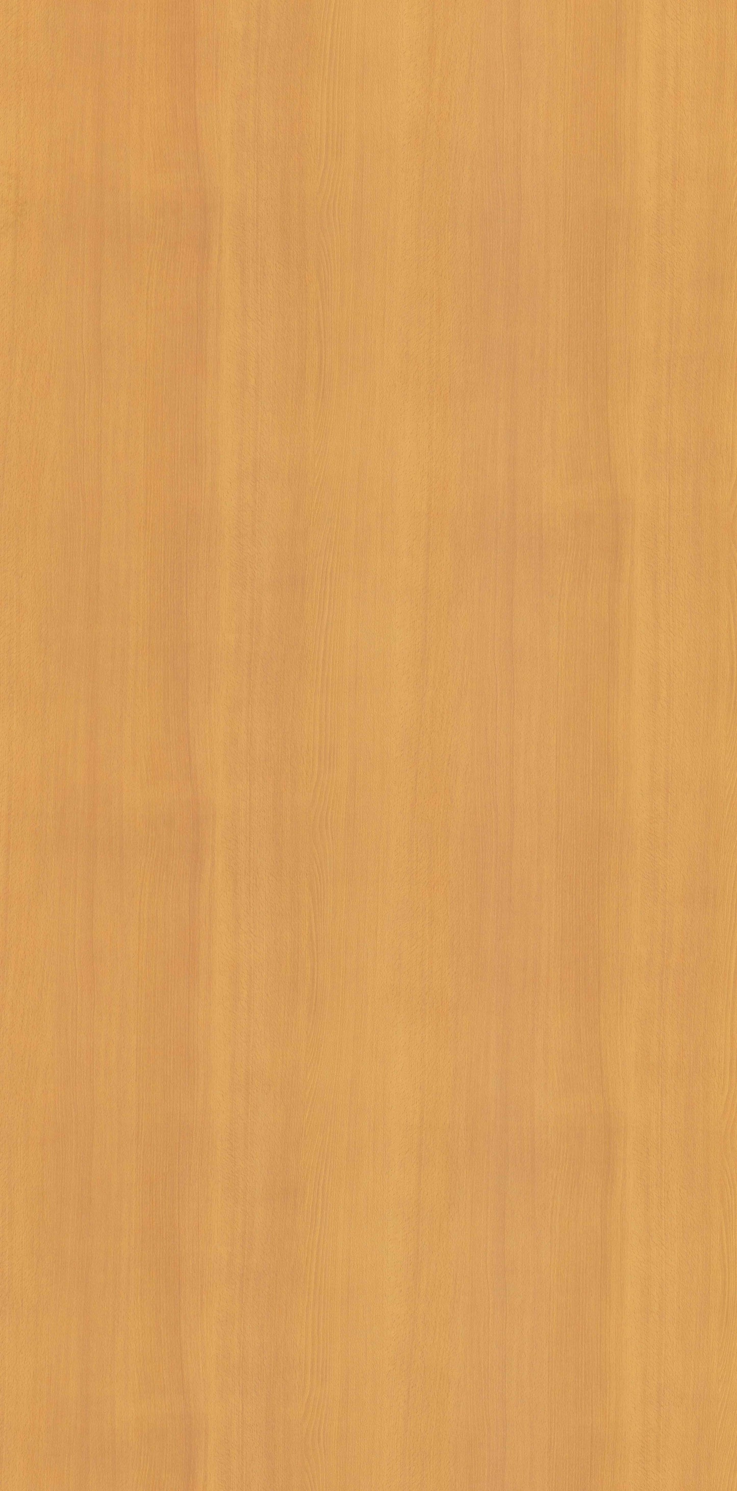 Africa Beech