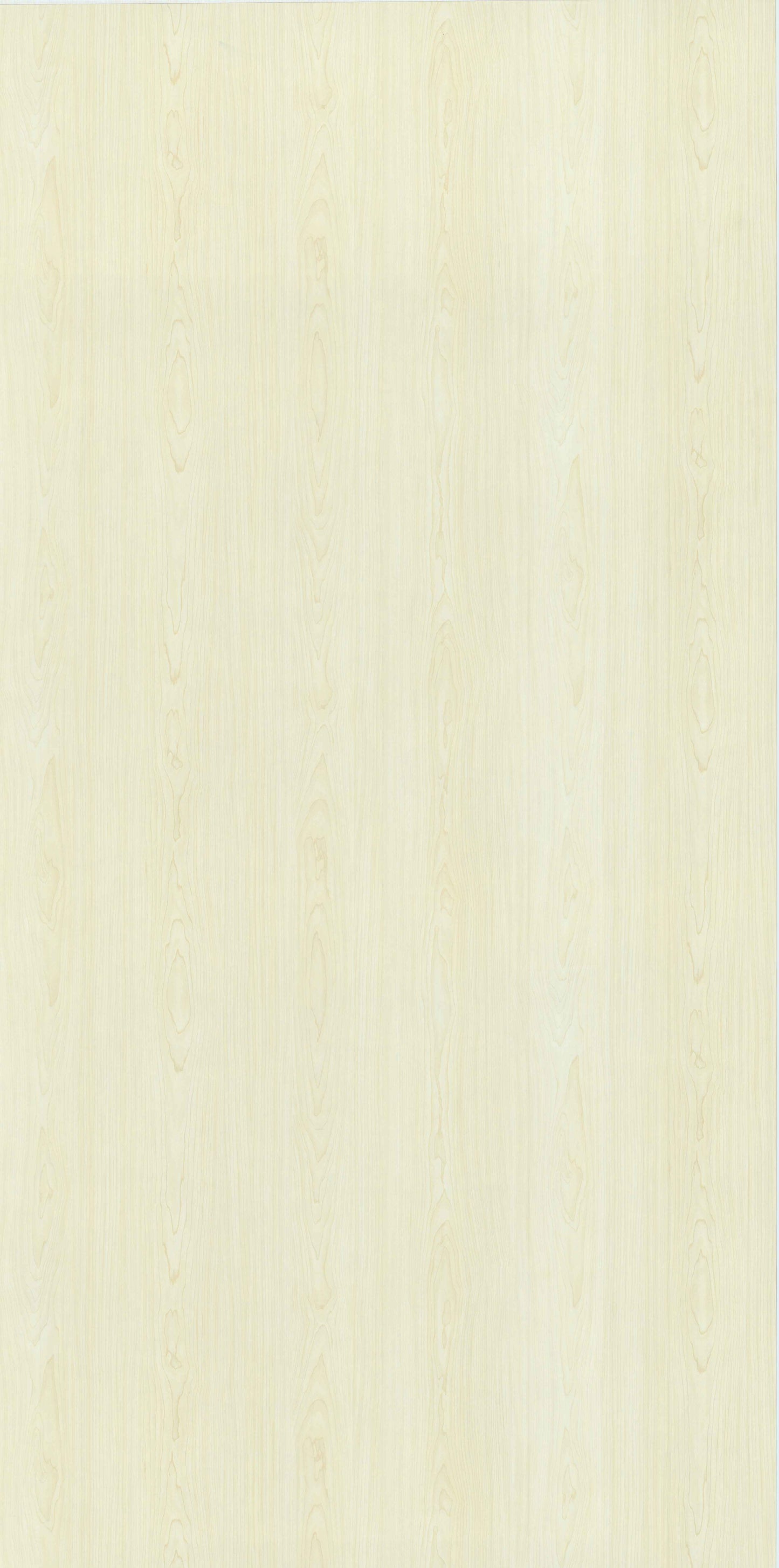 Bleached Maple