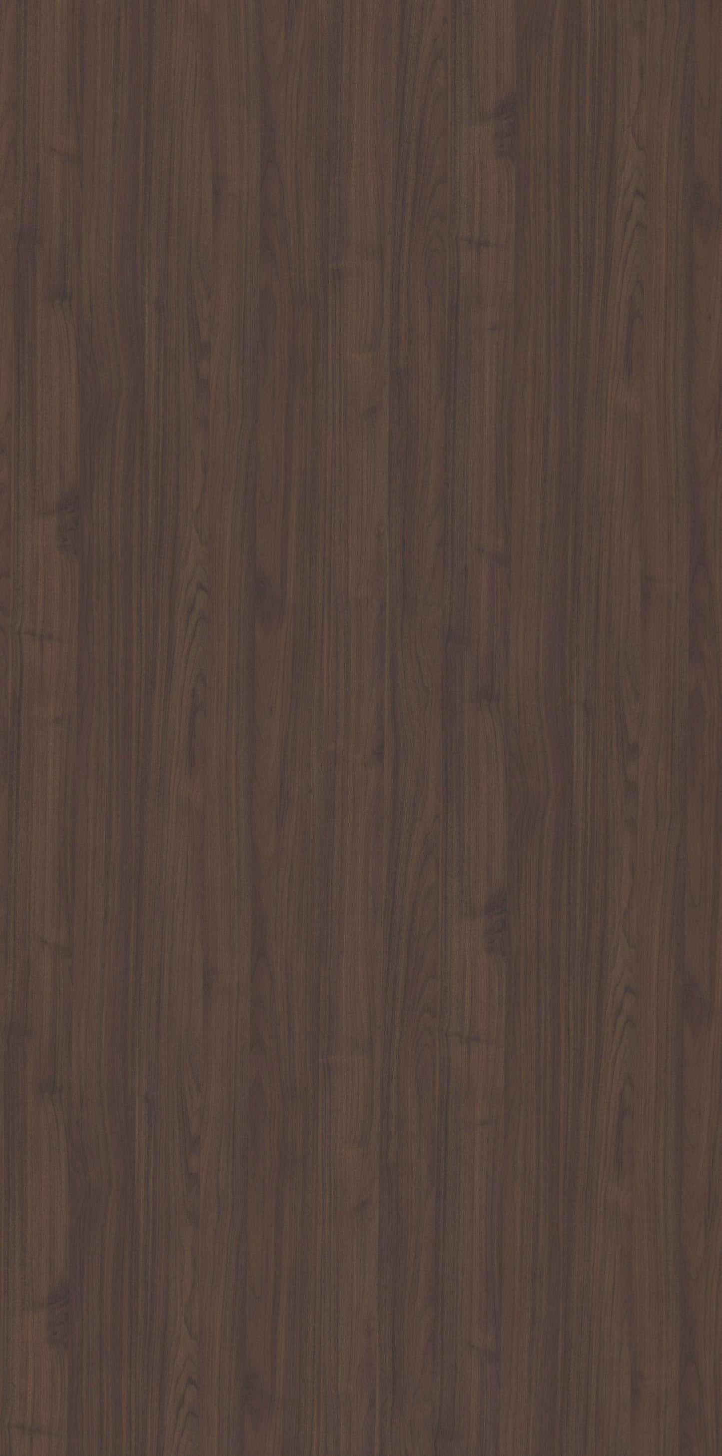 Tinted English Walnut