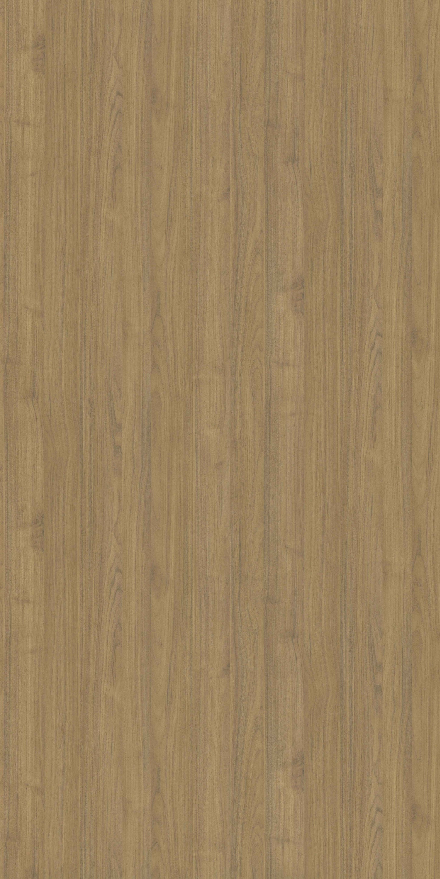 English Walnut