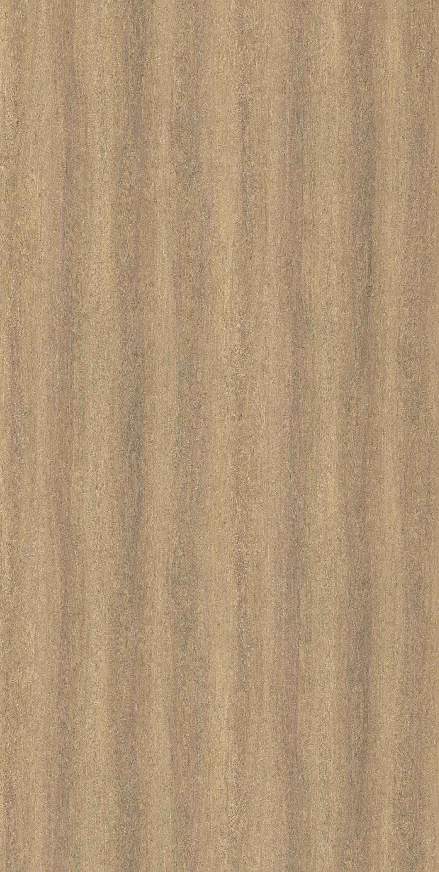 Tindari Rovere Scuro