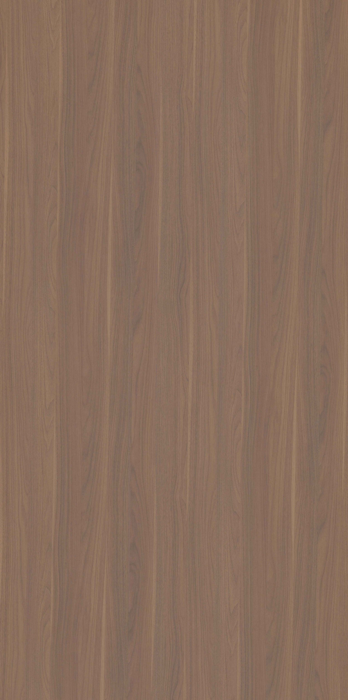 Europe Walnut