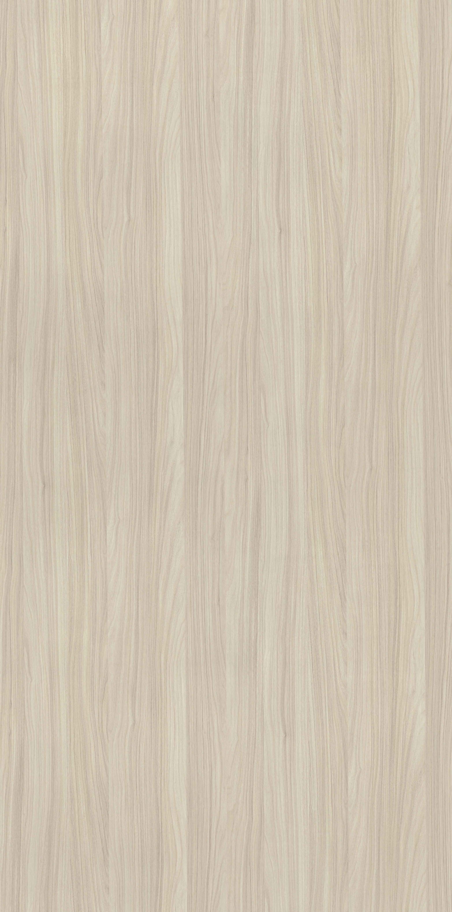 Arabian Walnut