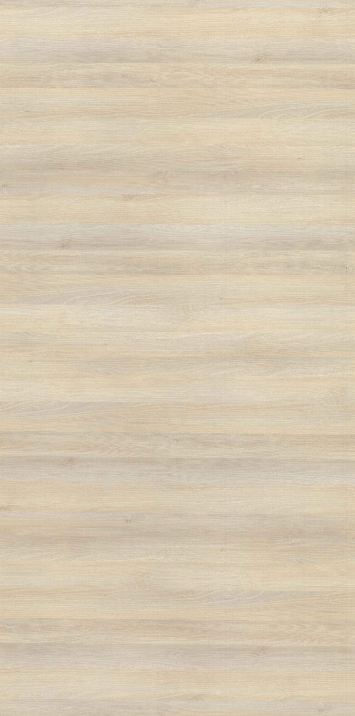 Acacia Cream Horizontal