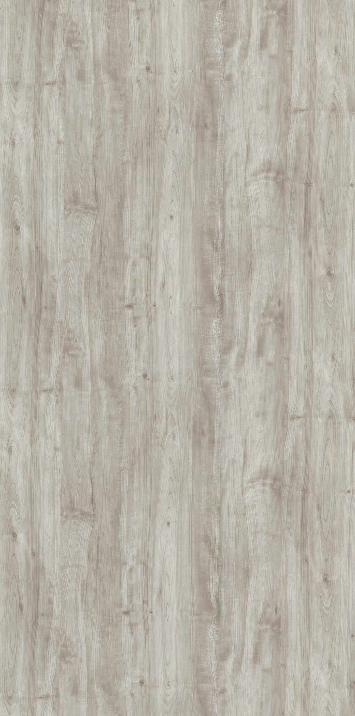 Nordic Maple