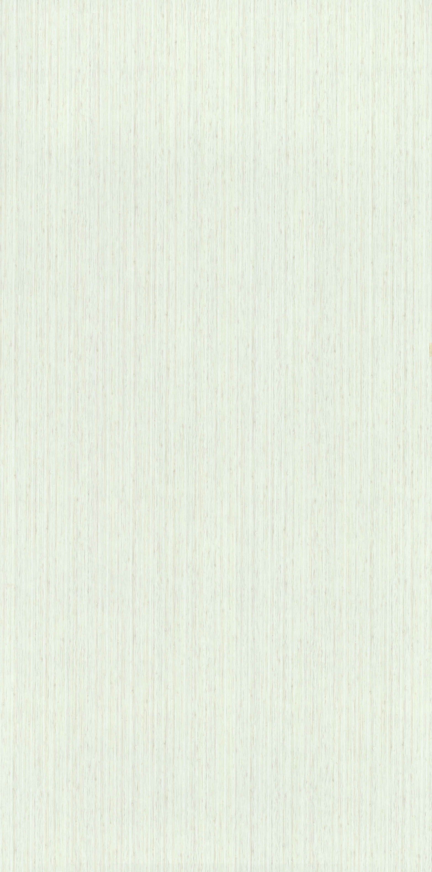 White Bamboo
