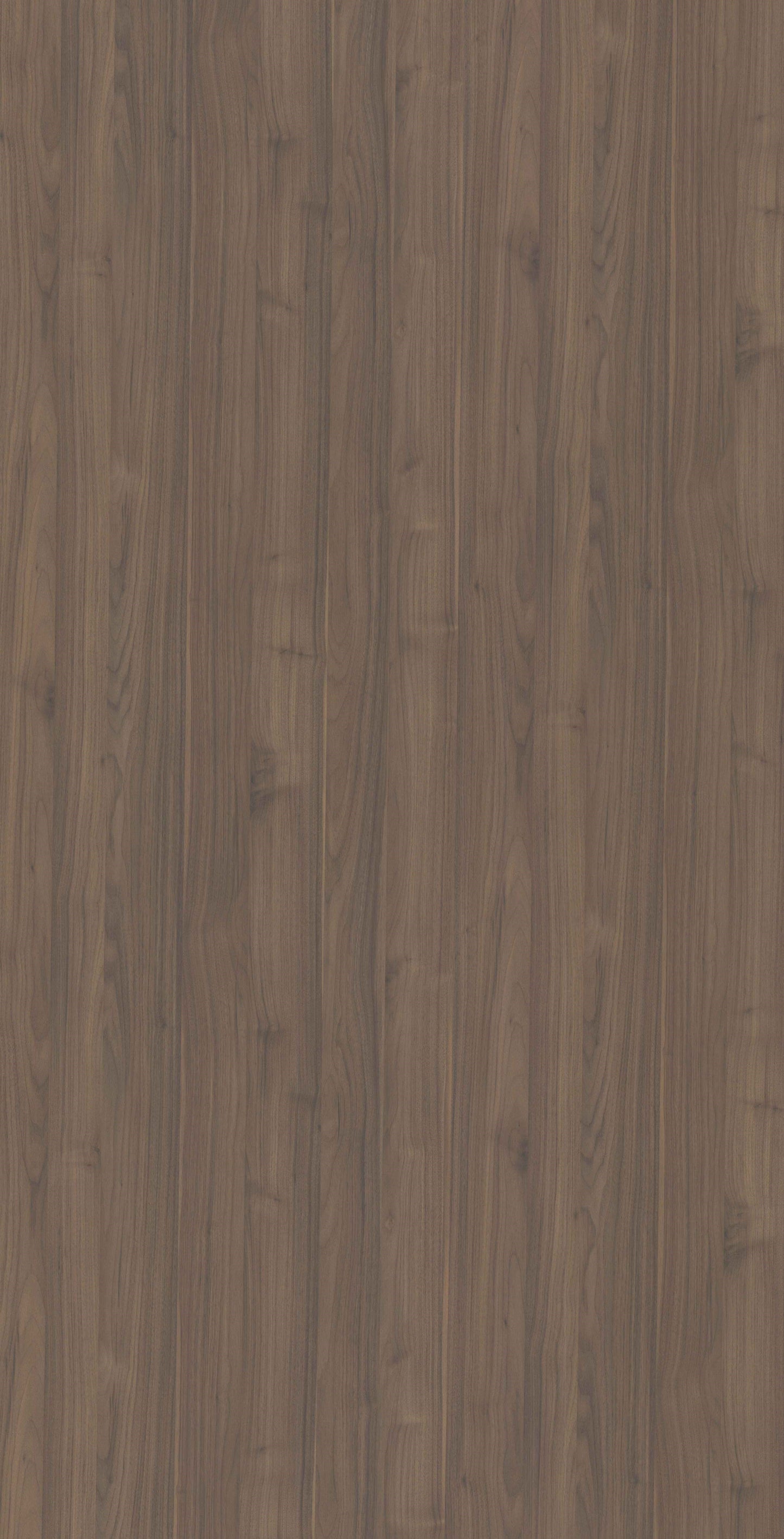 Queensland Walnut