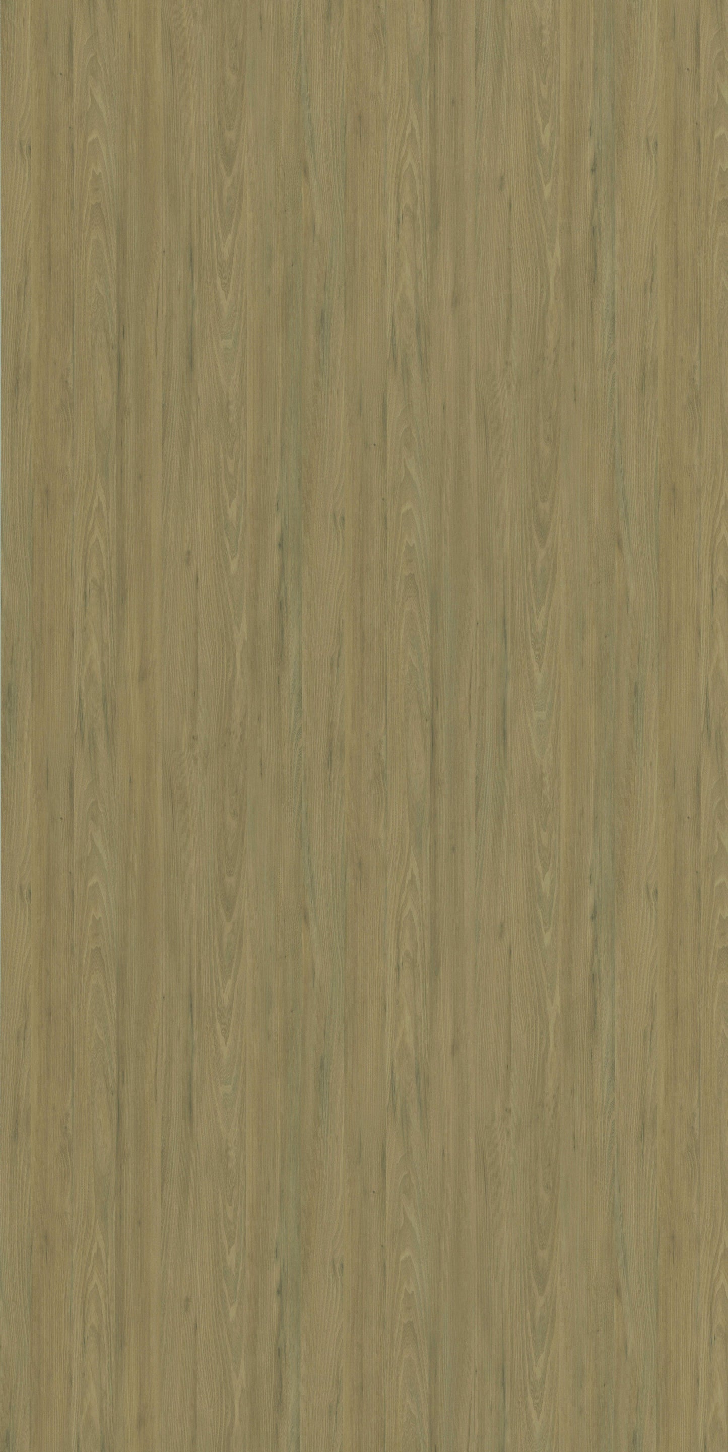 Frenseco Elm