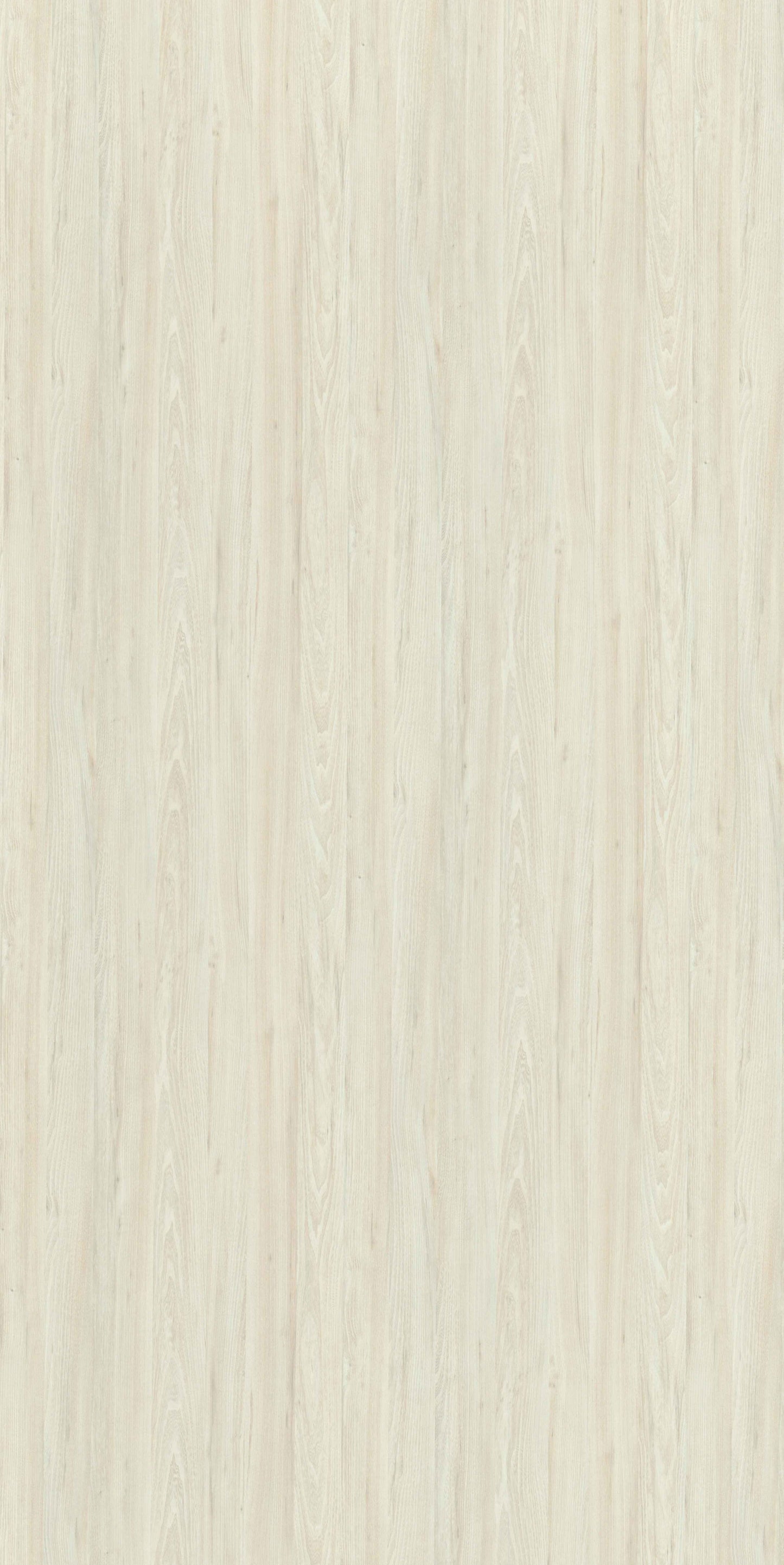 Aurora Elm
