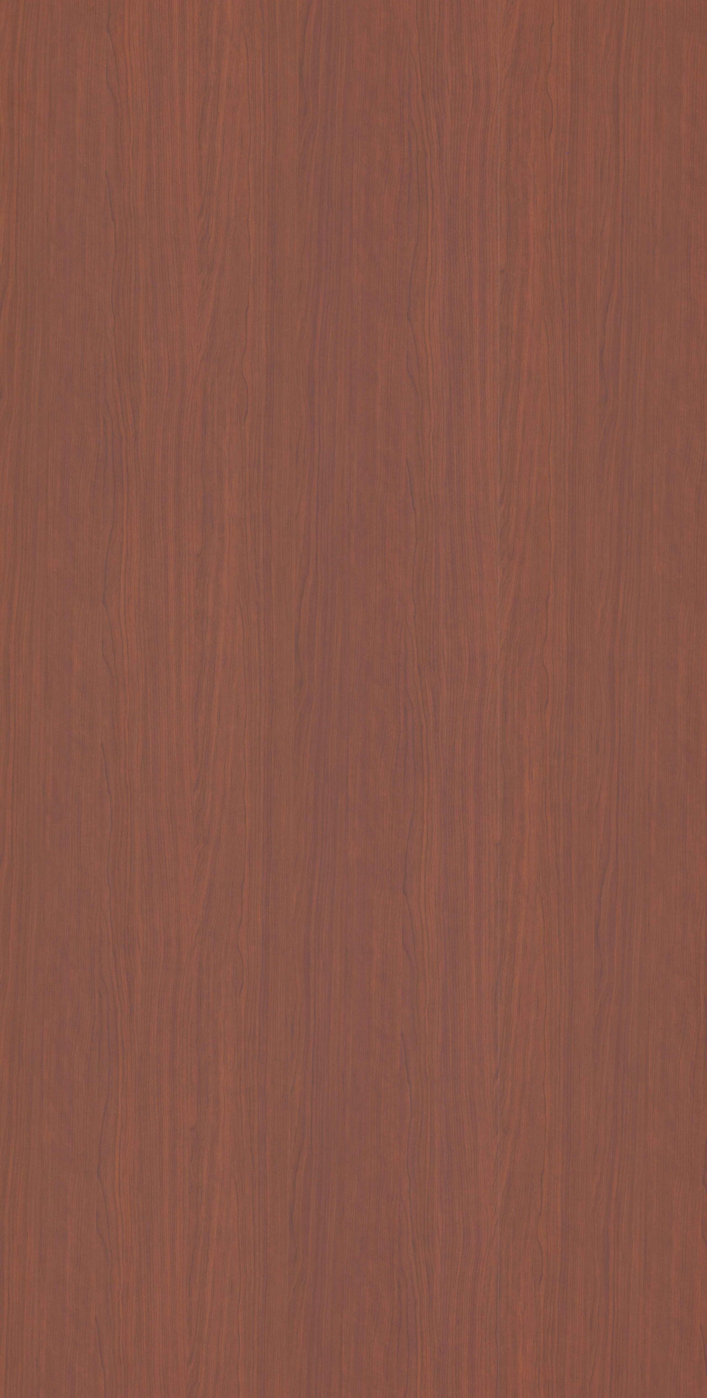 Shanghai Cherry