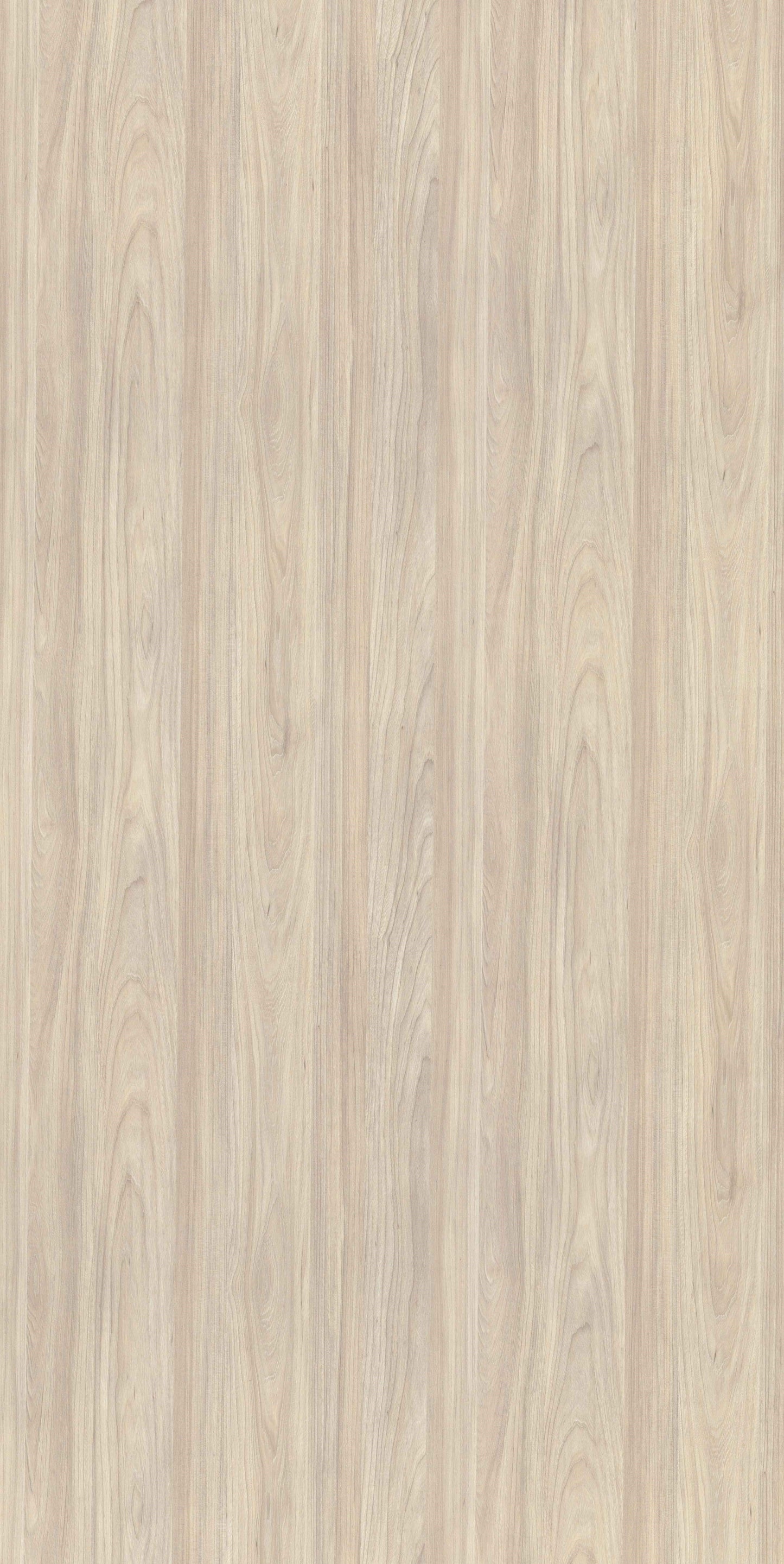 Fresh Elm