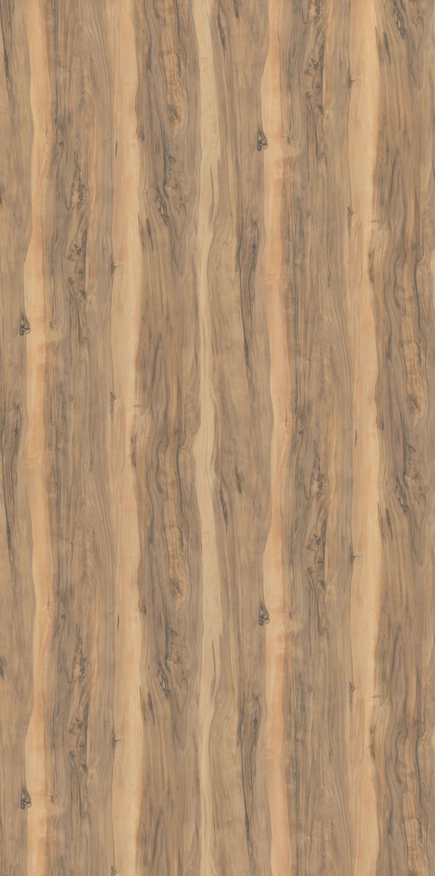 Rocky Wood