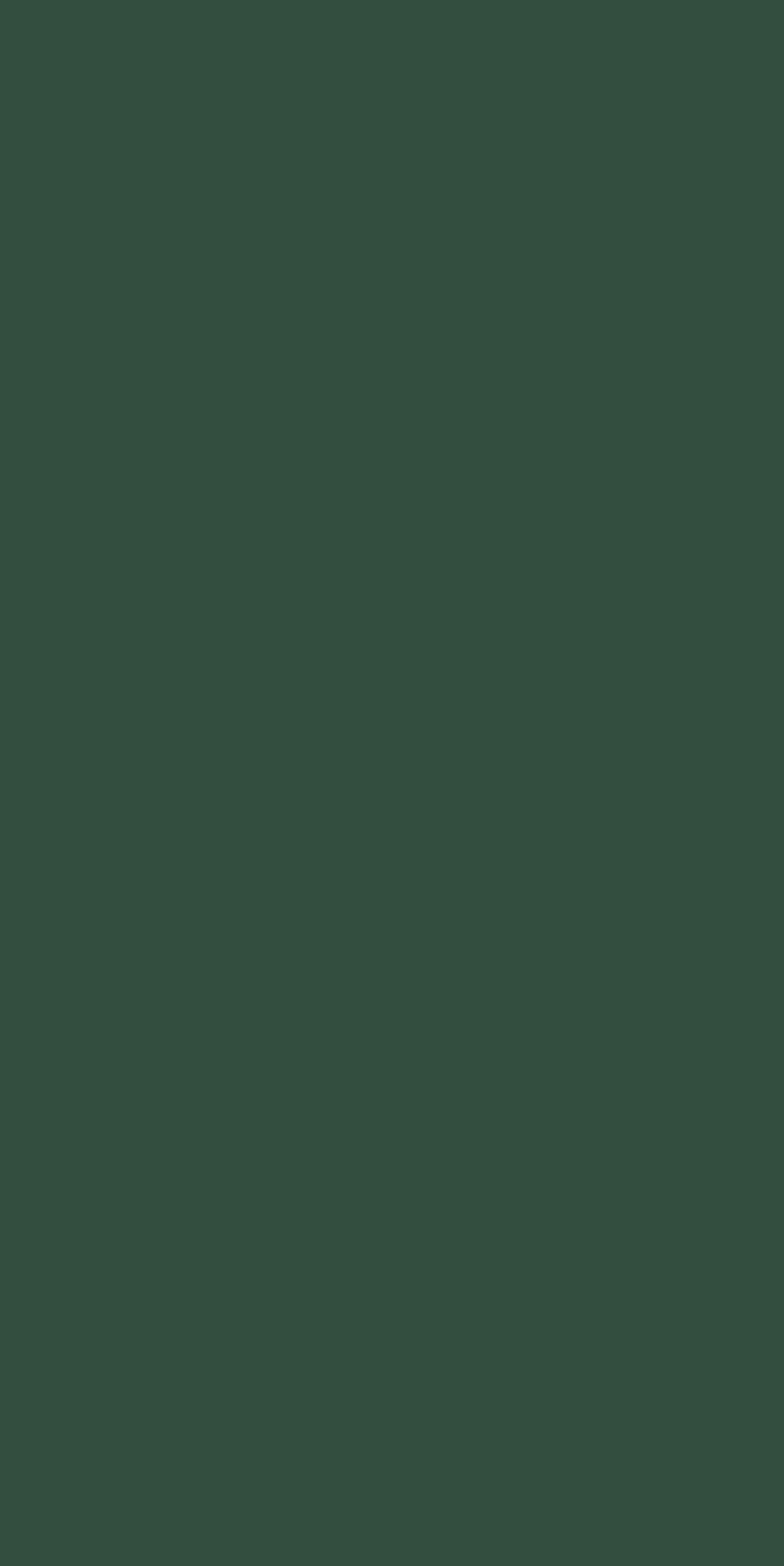 【美品】pretty green m-65 brown archive Tarzan Green Clay Matt – SNS Laminates
