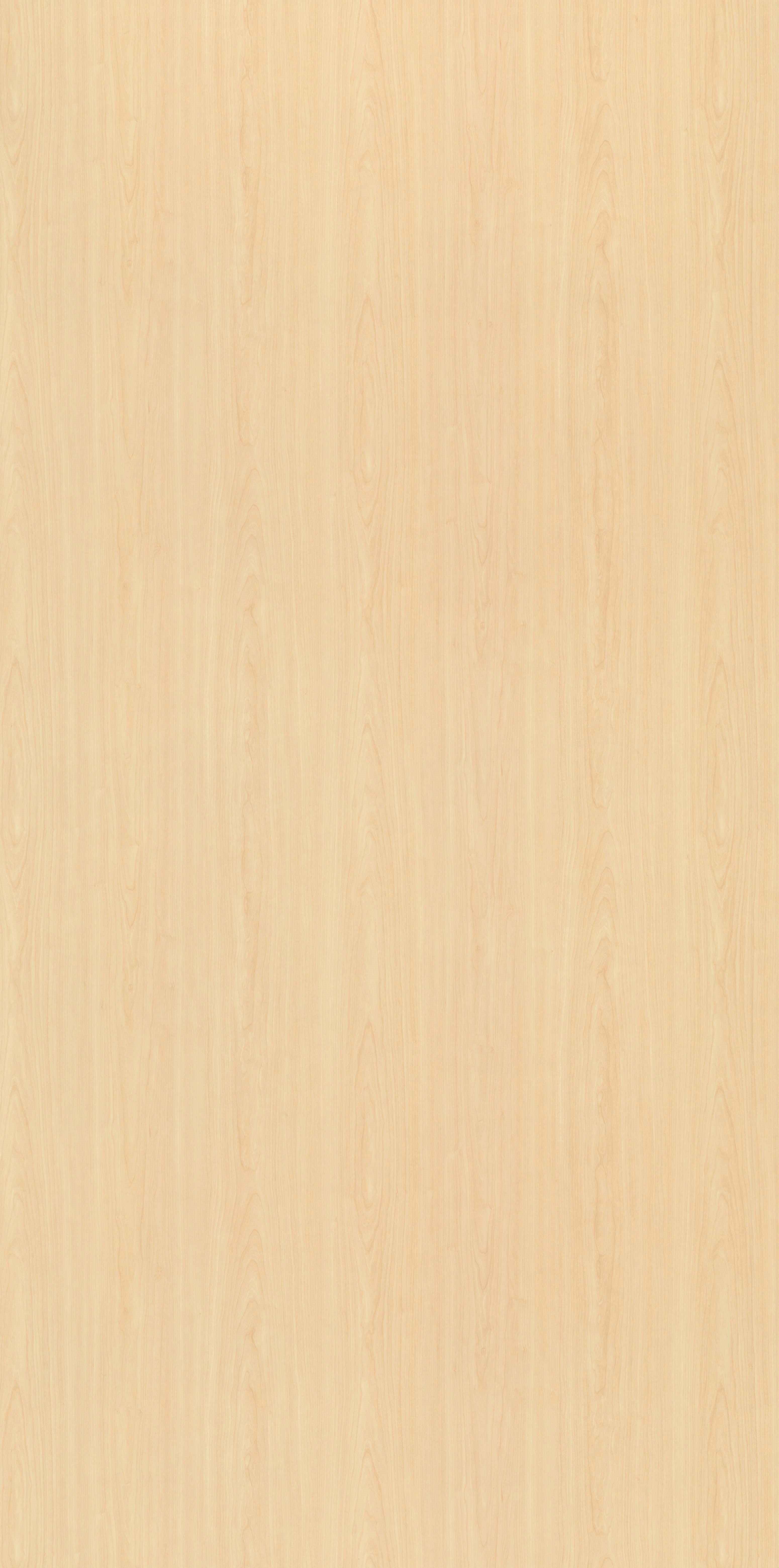 Arboreta Maple – SNS Laminates