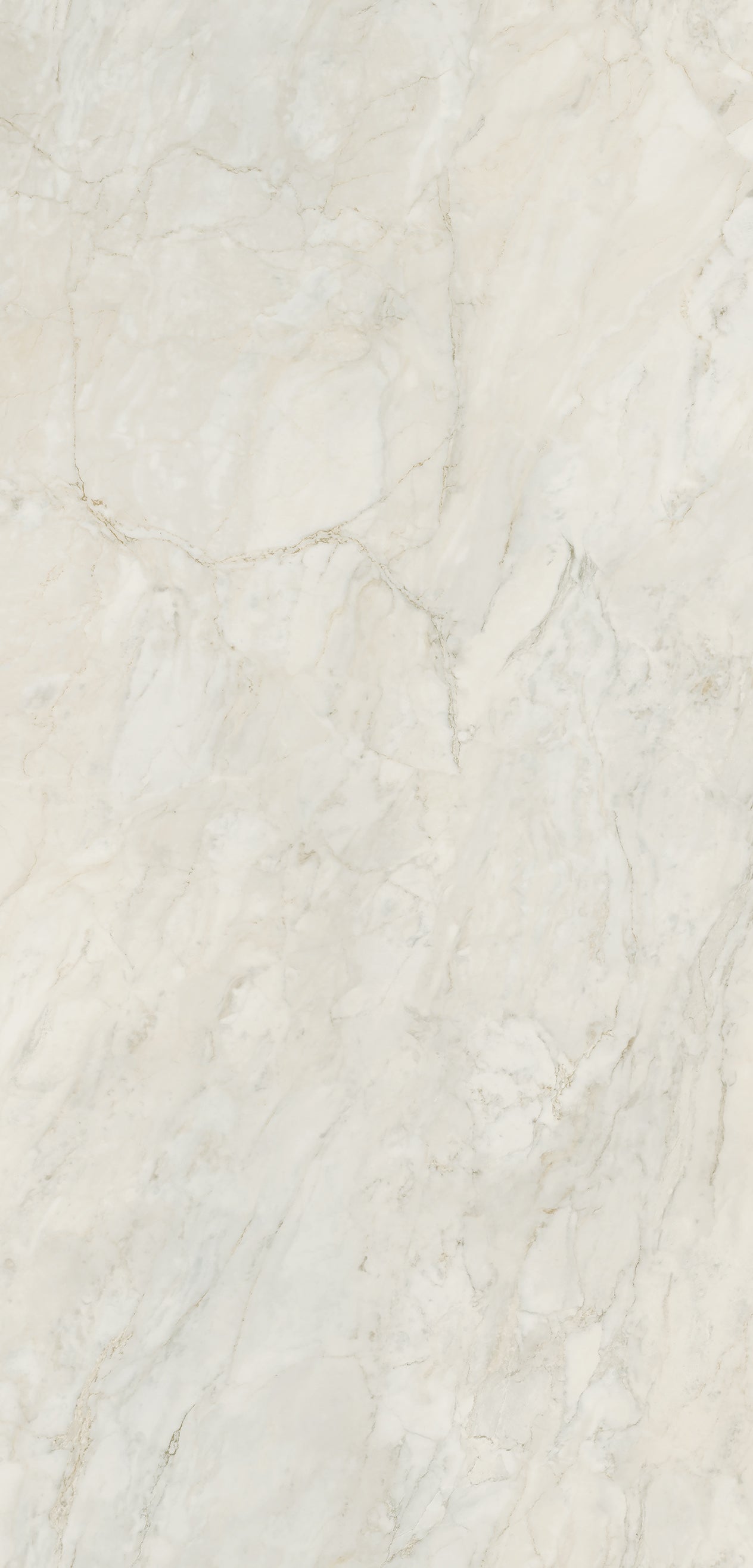 Bianco Venato Gloss