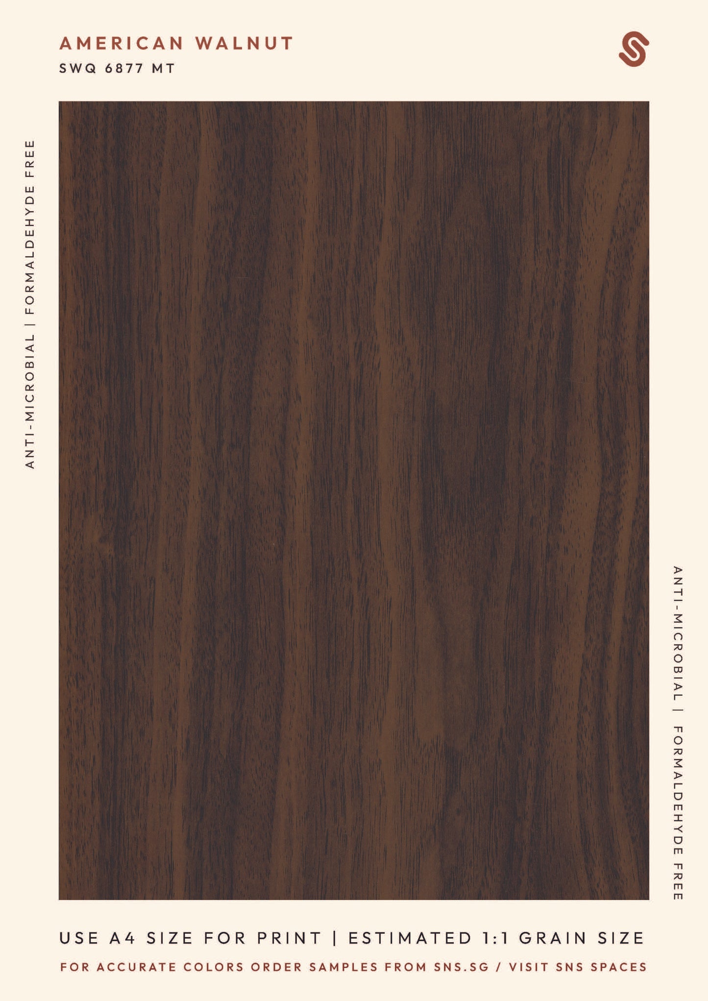 American Walnut