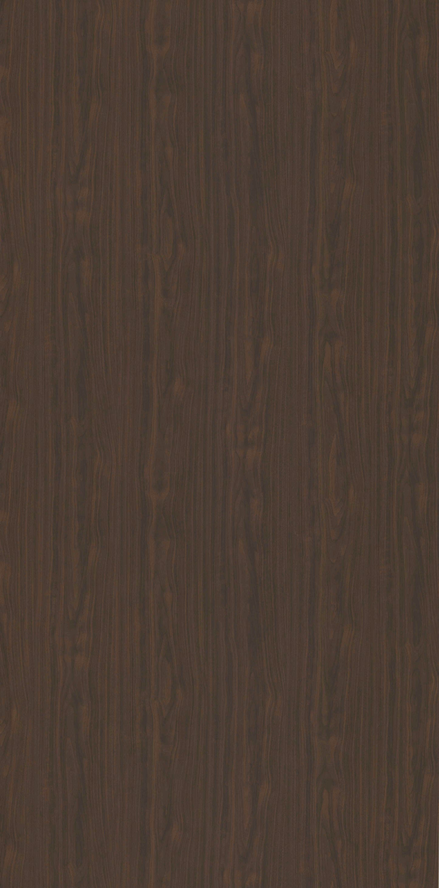 American Walnut