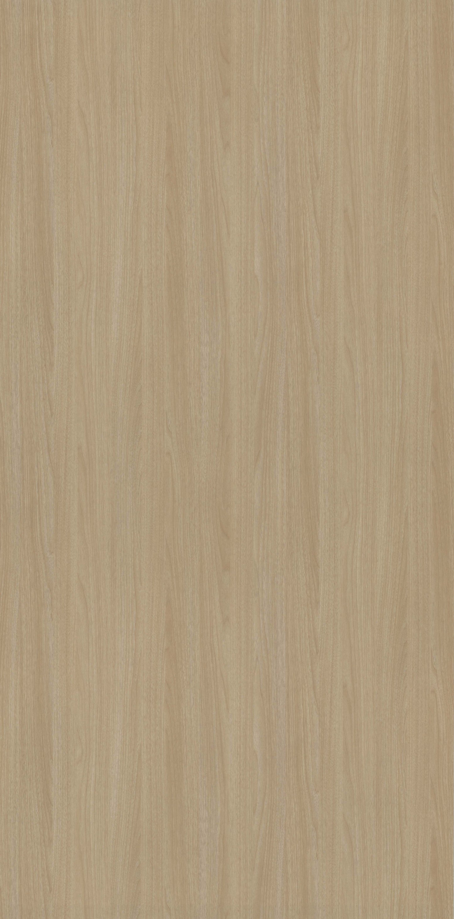 Desert Pearl Oak