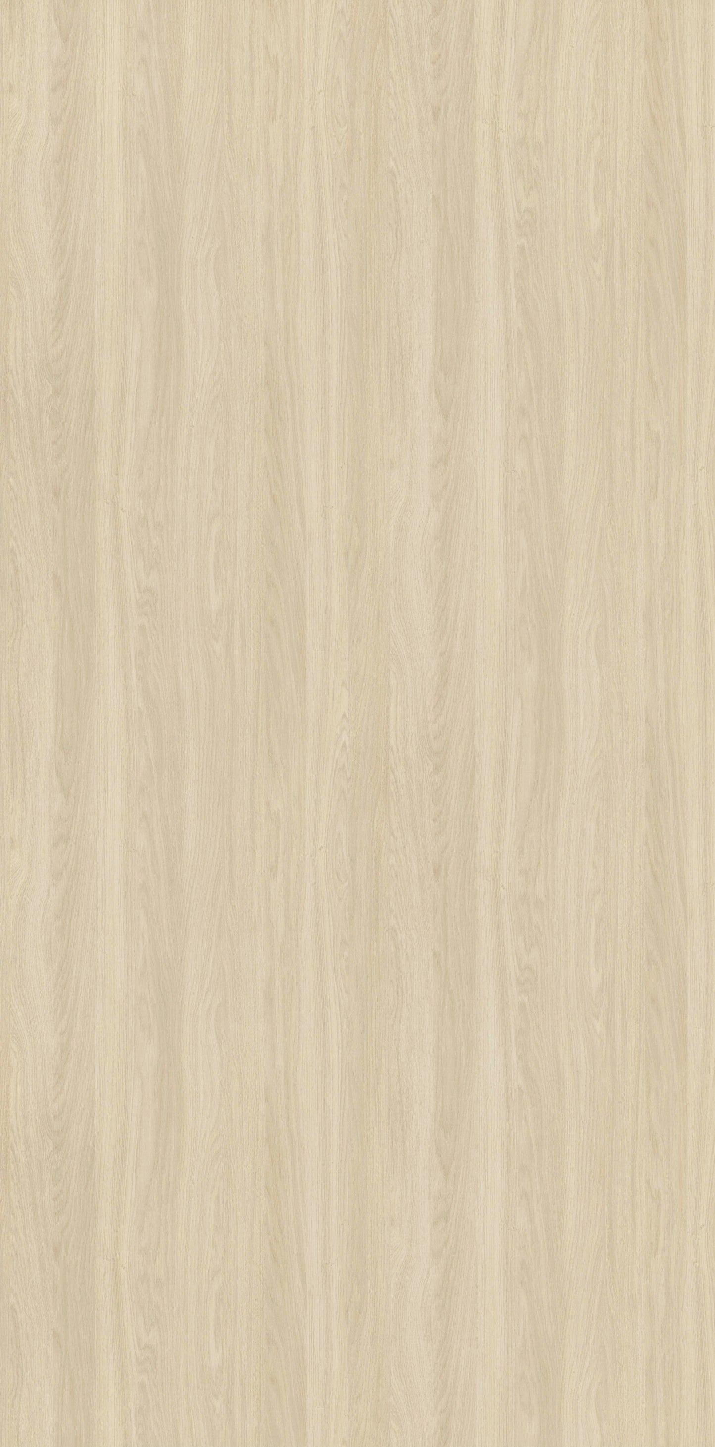 Cordoba Pine