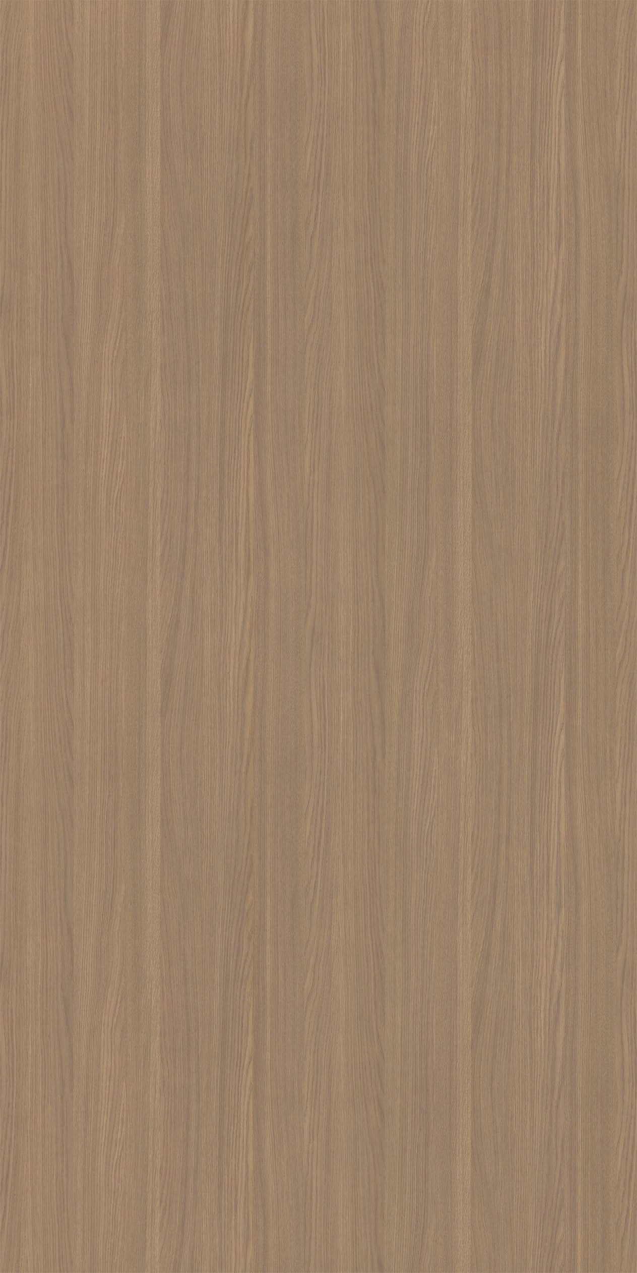Maribo Oak – SNS Laminates