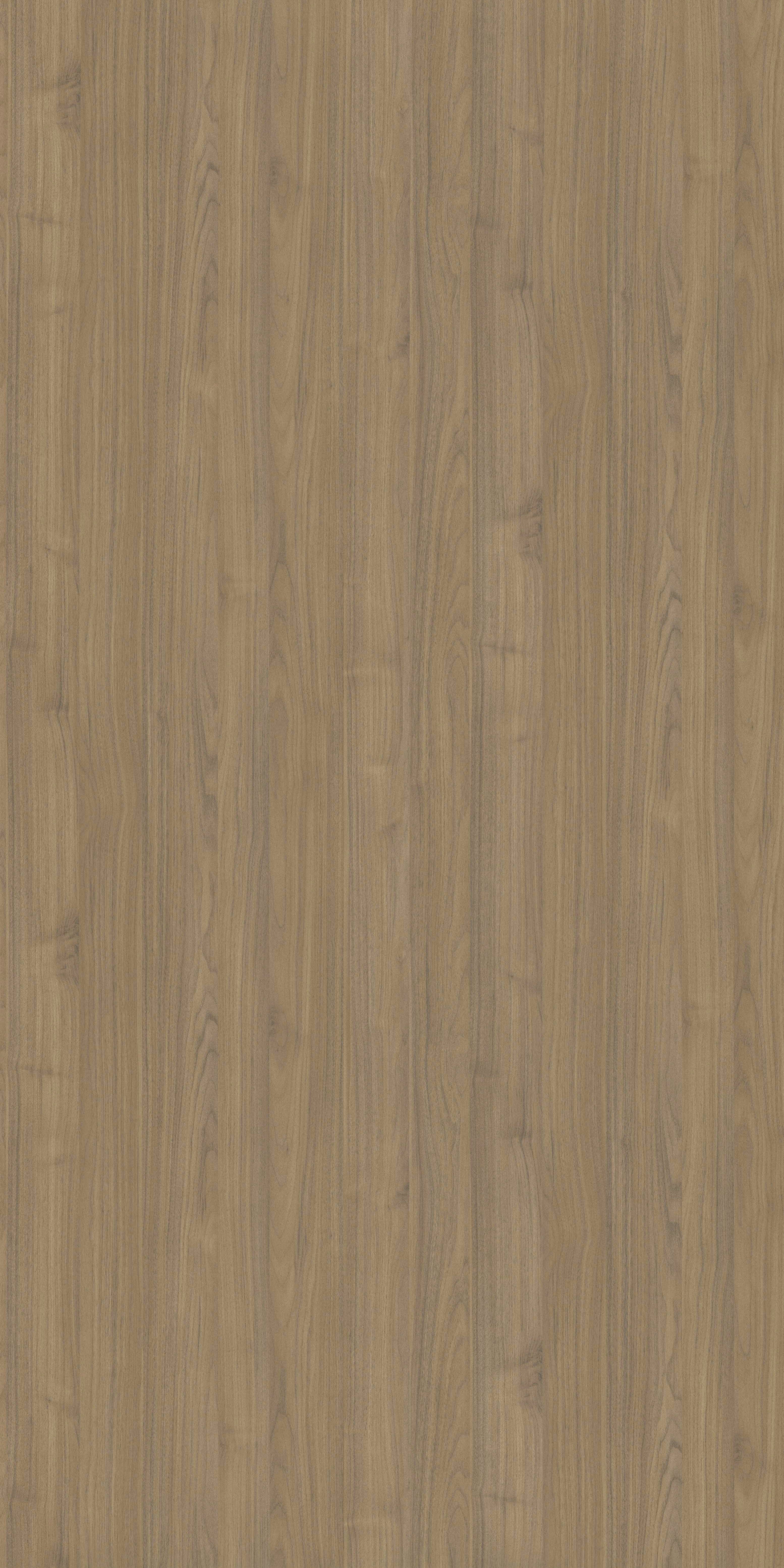 English Walnut – SNS Laminates