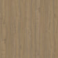 English Walnut