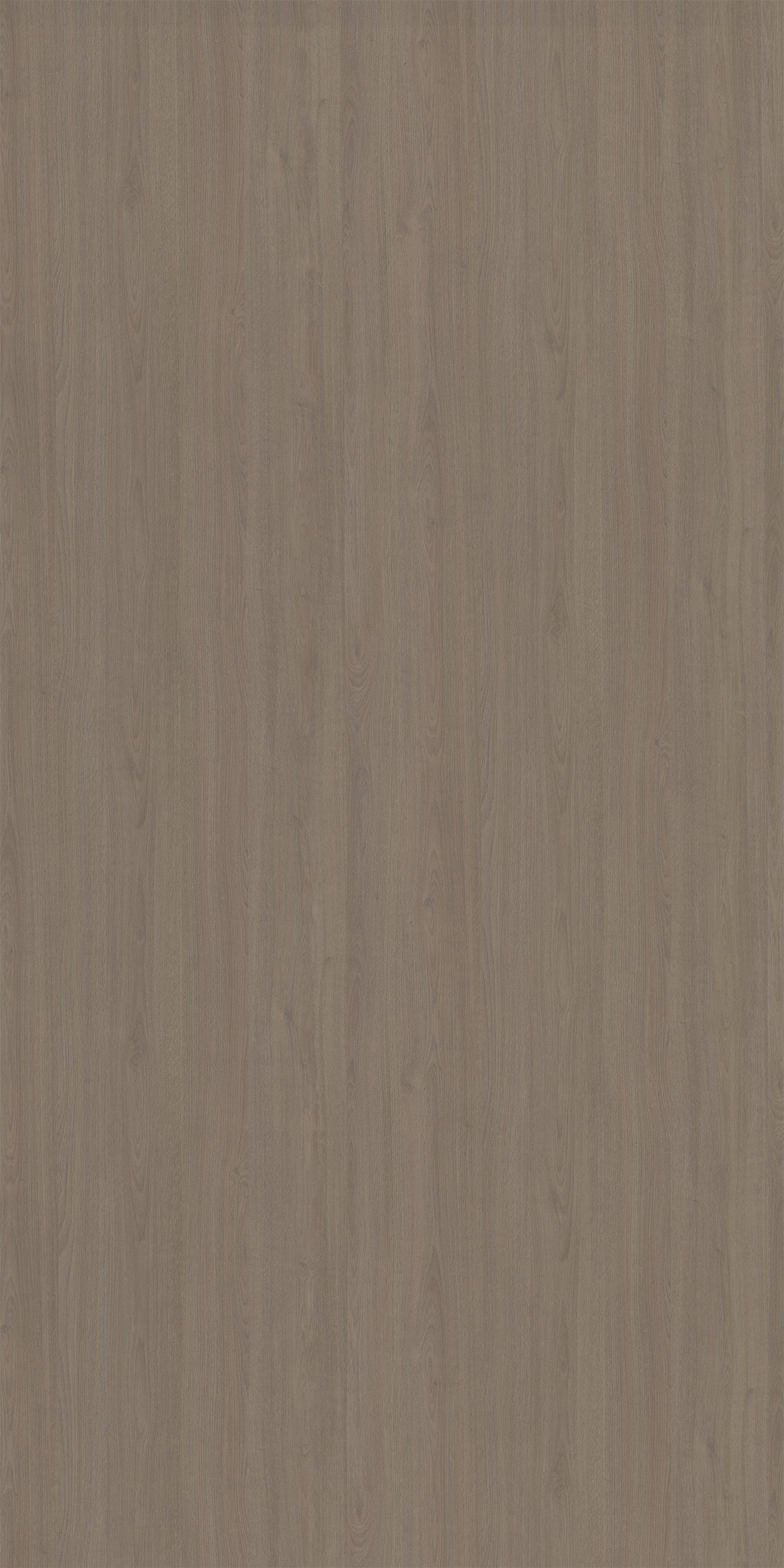 Chestnut Oak