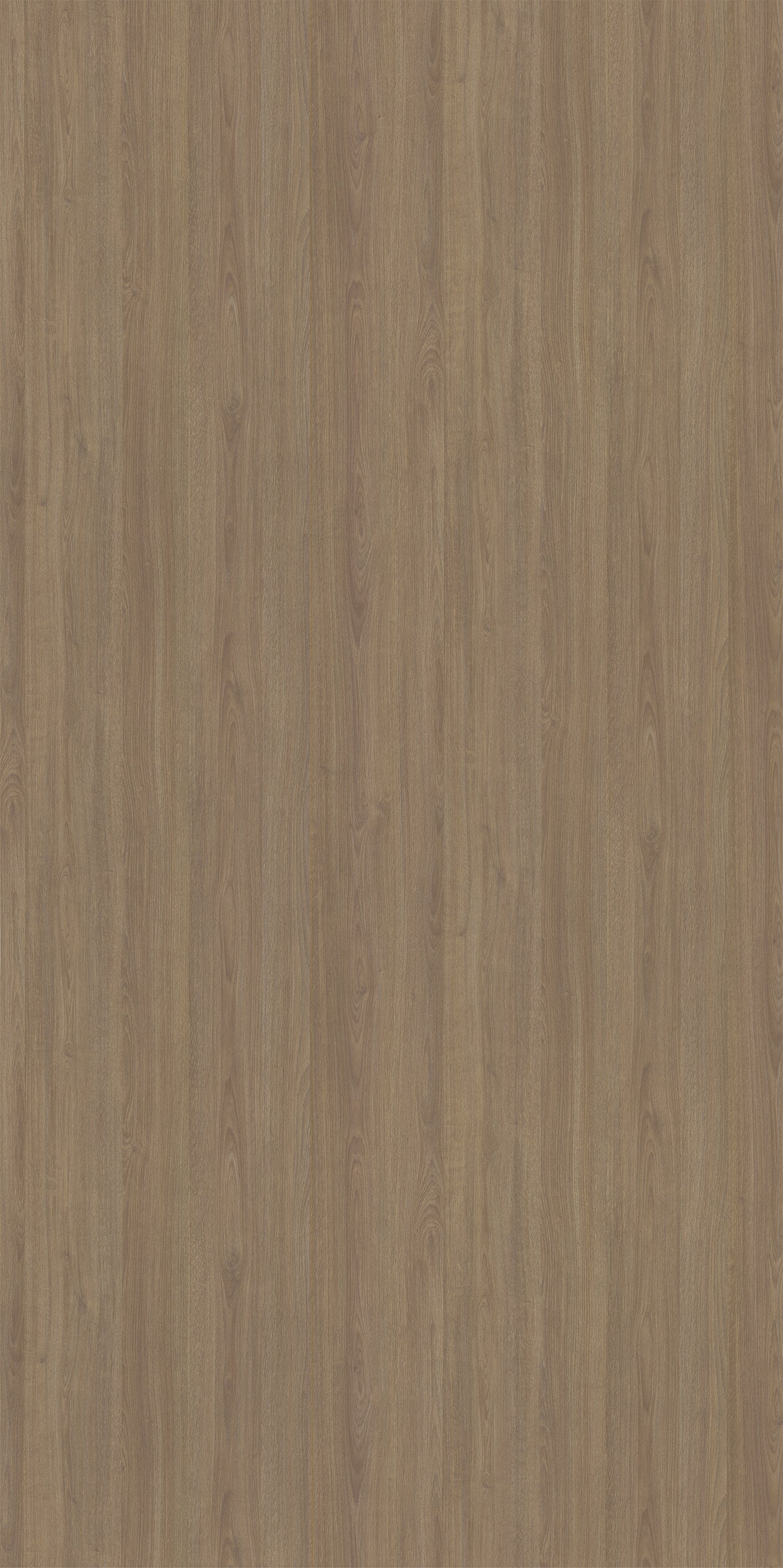 Harvest Oak