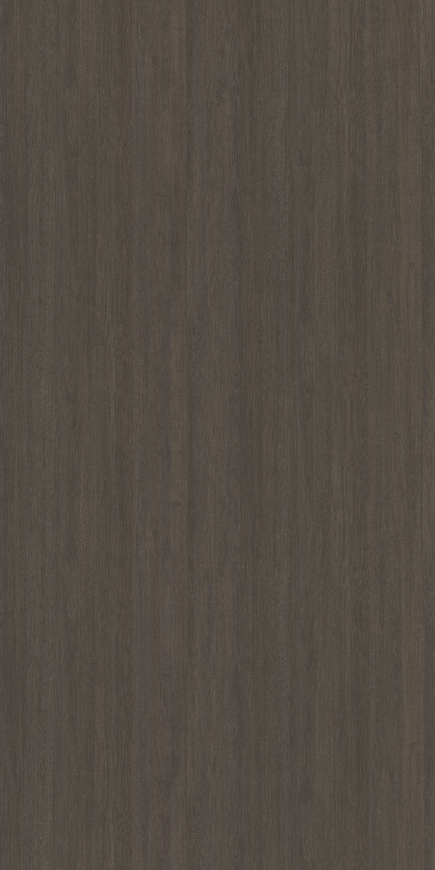 Midnight Oak