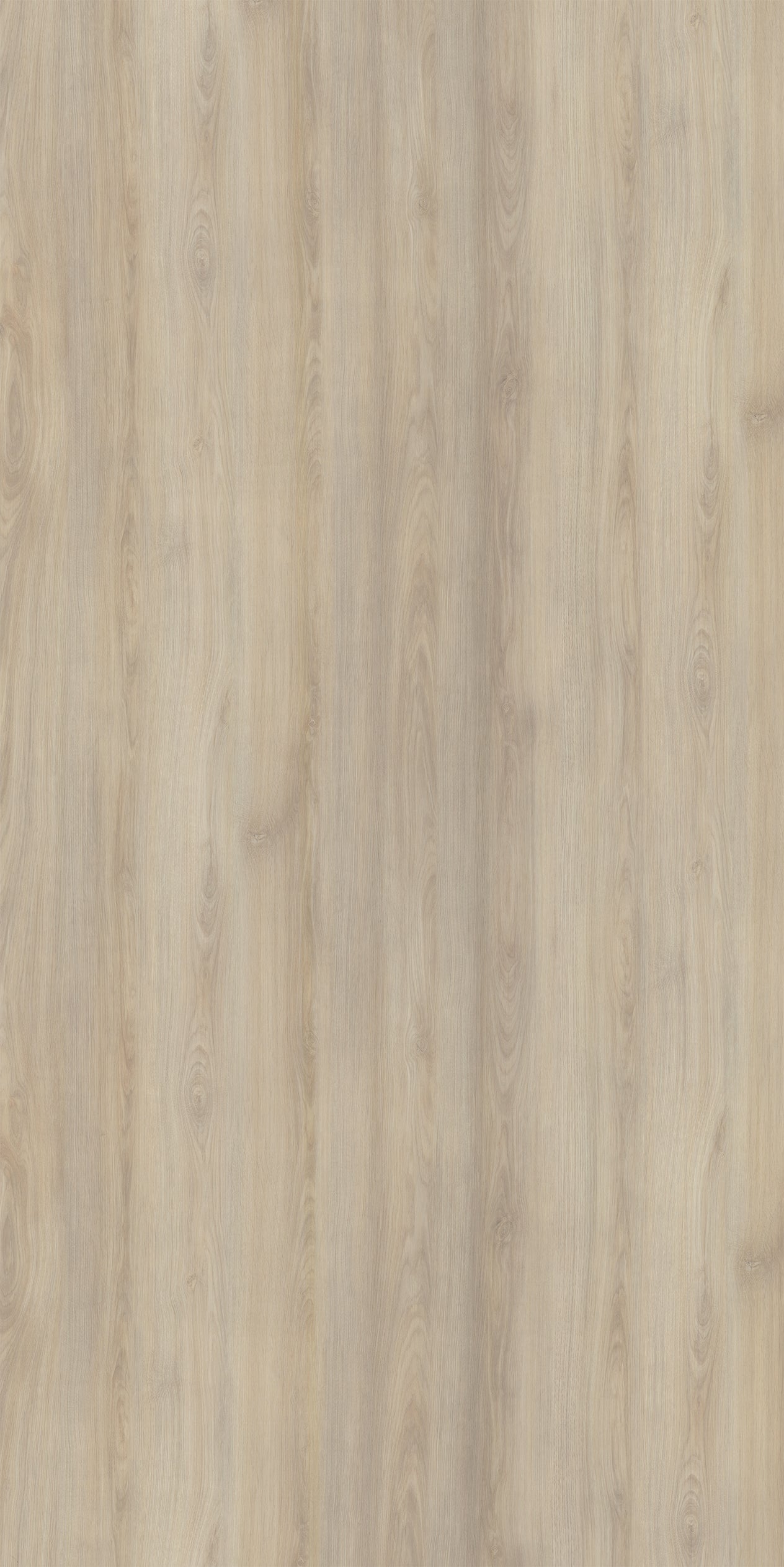 Sheer Oak