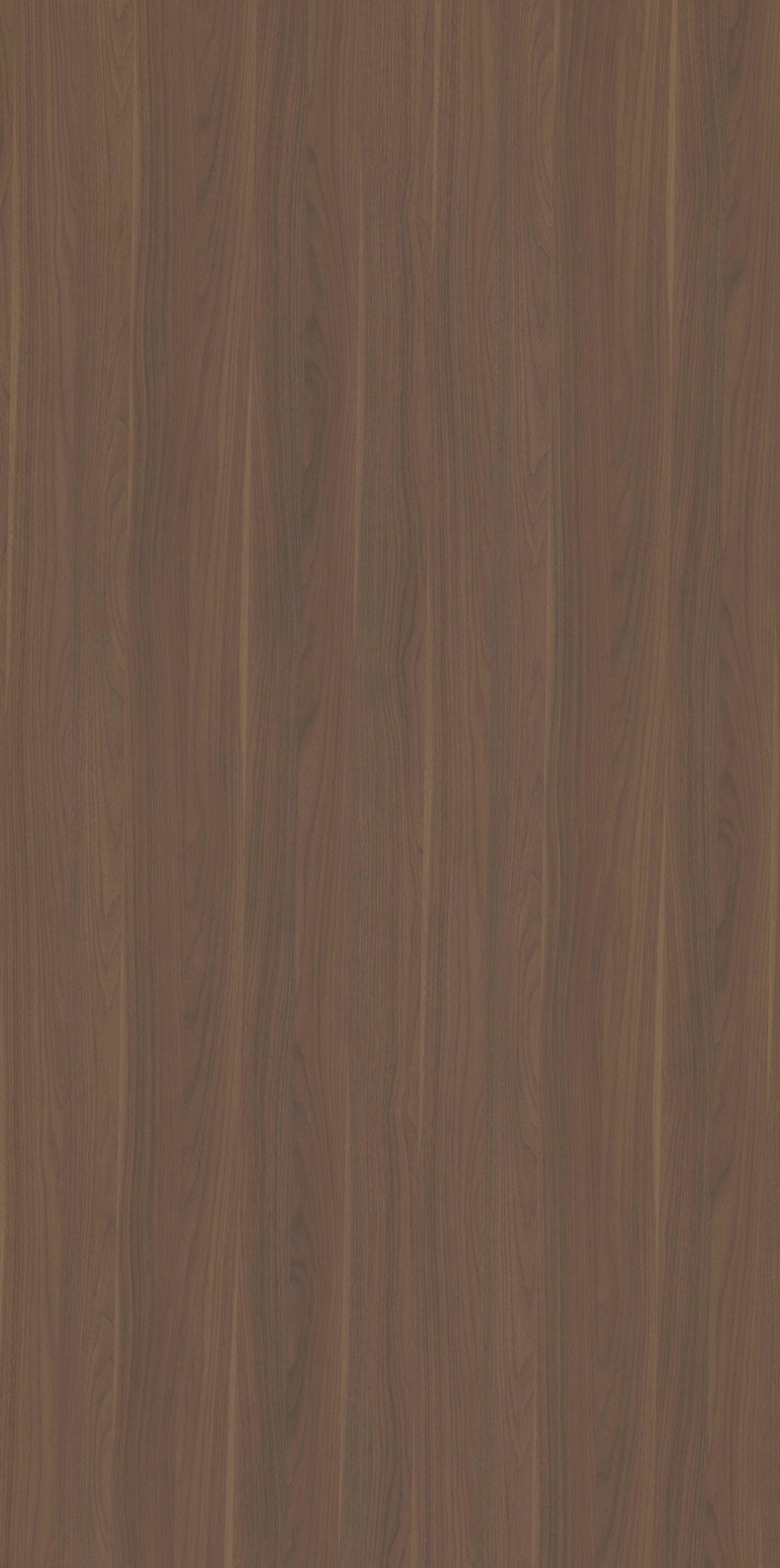 Europe Walnut