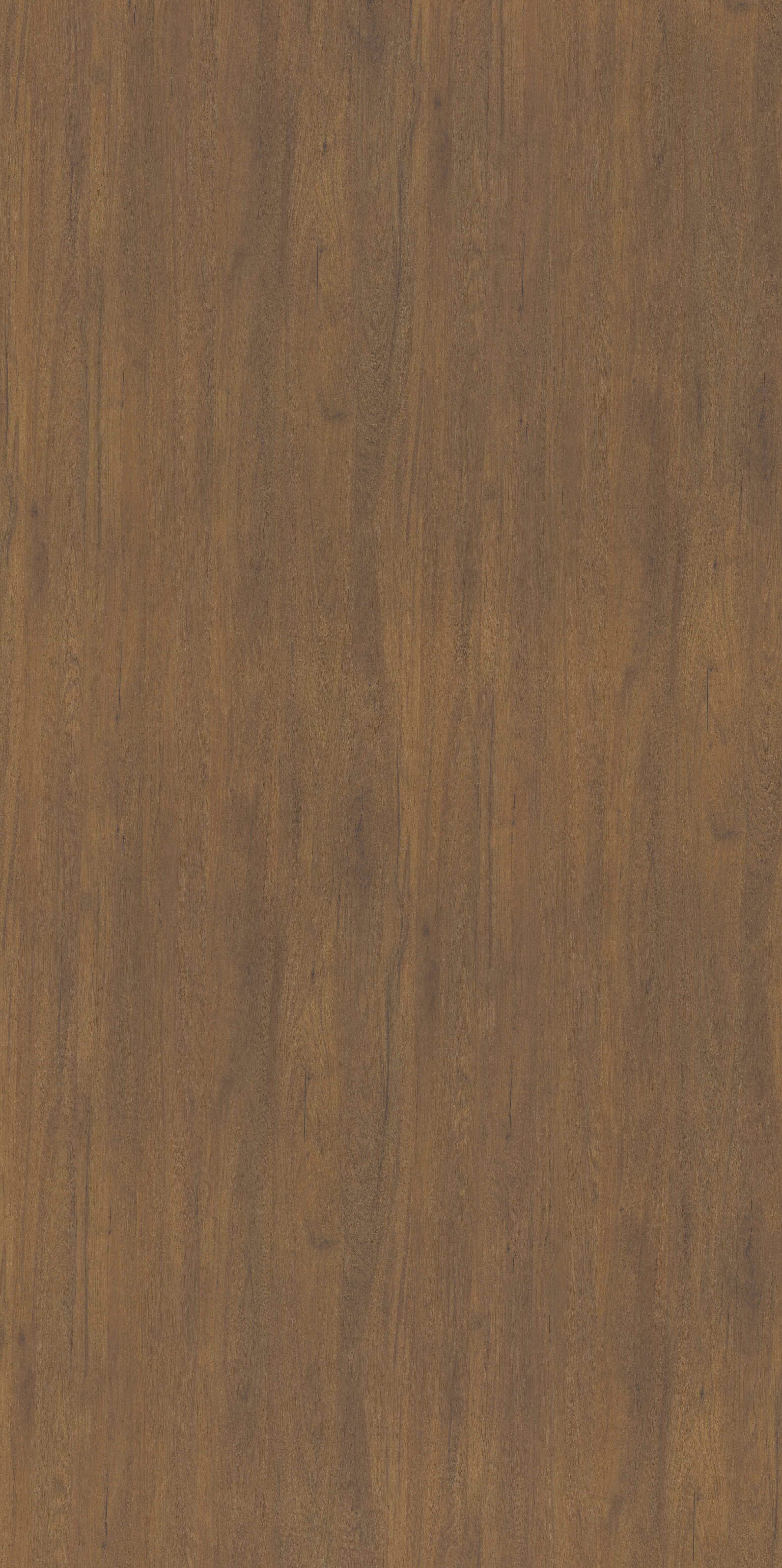 Between Maple and Chestnut 限定1000部 8123_RED_MAPLE_05ce2be9-21bd-