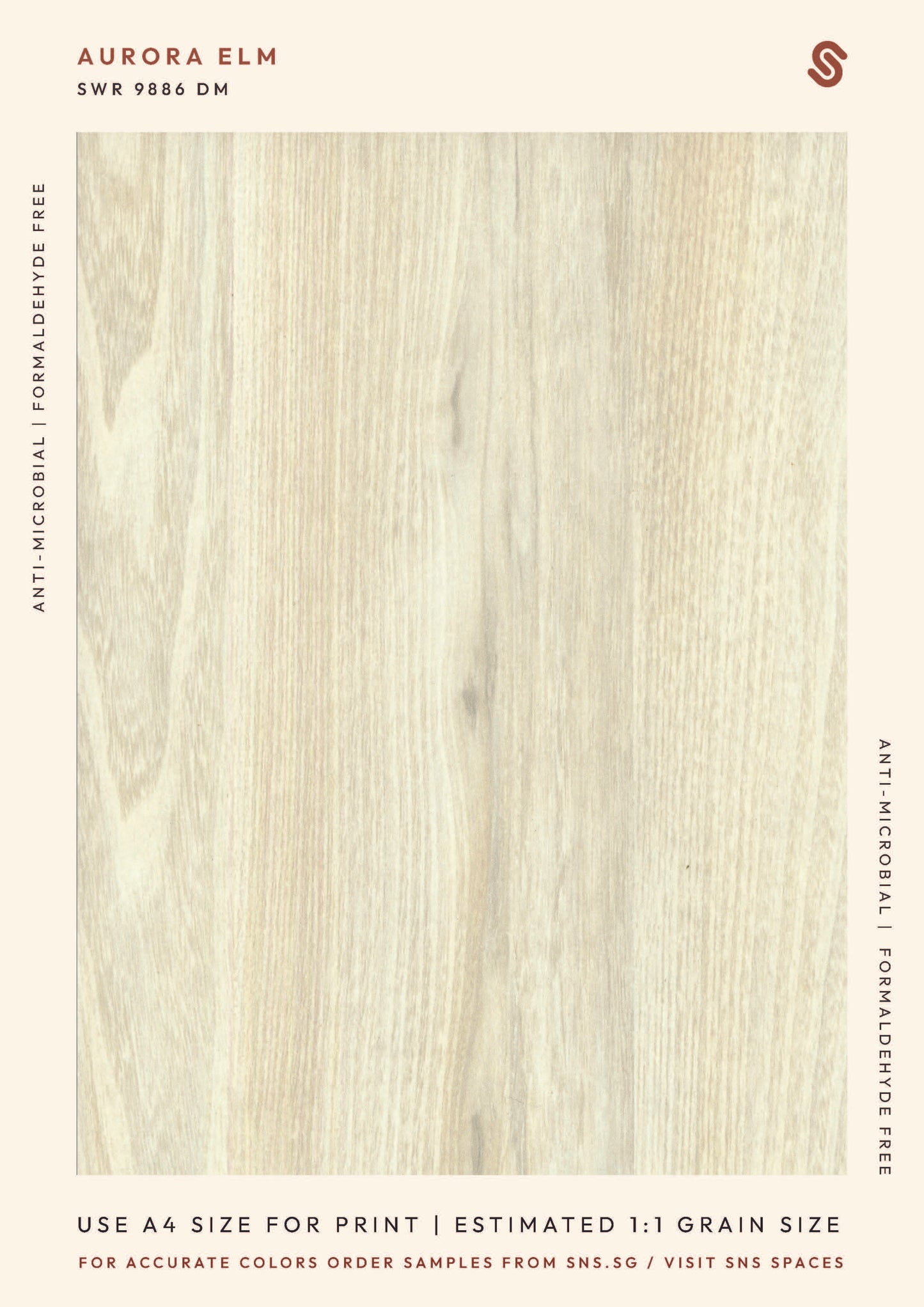 Aurora Elm